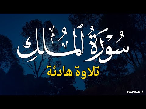 Surah Al Mulk سورة الملك | Relaxing Lofi Quran Recitation to Help You Sleep | Atman Quran TV