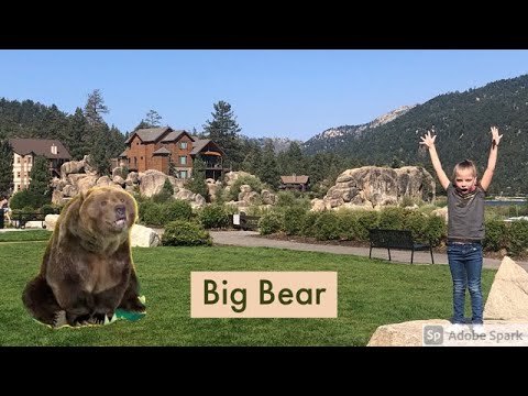 Big Bear Vlog