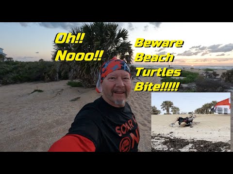 Turtle Bites On The Beach - Flying Powered Paragliders Near St Augustine FL  #Paramotor #Paragliding