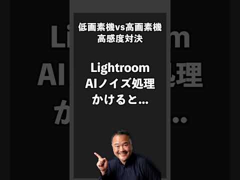 低画素機vs高画素機の高感度対決！AIノイズ処理をかけると...