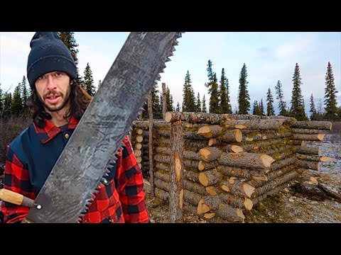 Off Grid Log Cabin Build | Old Time Hand Saw And Axe | Solo Build