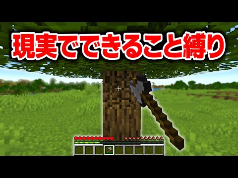 現実でできること縛りがバカゲーすぎた【マイクラ】