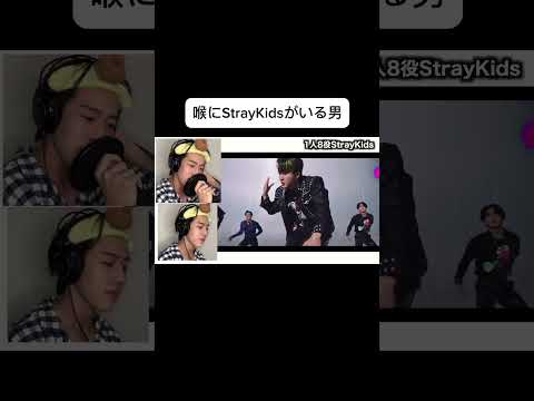 1人8役でStrayKidsのMANIACを歌ってみた結果…