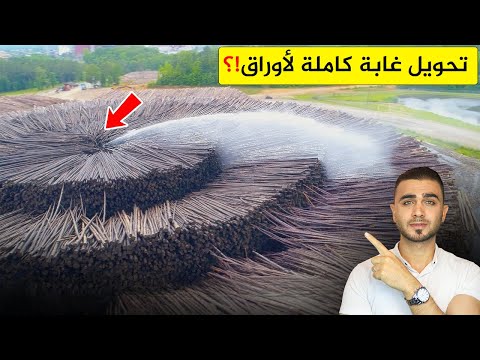 صناعة أكبر كمية من الورق في العالم 😱صناعة الورق من الأشجار بطريقة مذهلة وبكميات ضخمة جداً🤔