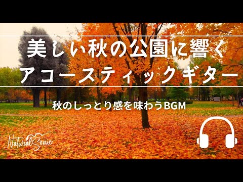 Natural Sonic「美しい秋の公園に響くアコースティックギター」-秋のしっとり感を味わうBGM -