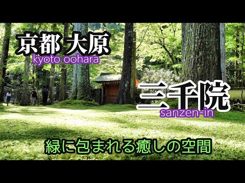 京都 大原 三千院【緑に包まれる極上の癒し空間】Kyoto oohara sanzen-in