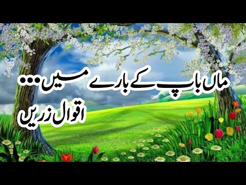 Maa Baap  Kay  bare may khubsurat  aqwal e zareen / beautiful golden words. Aaina -e-fikr