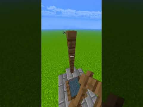 Minecraft : Builds # | #shorts #minecraft