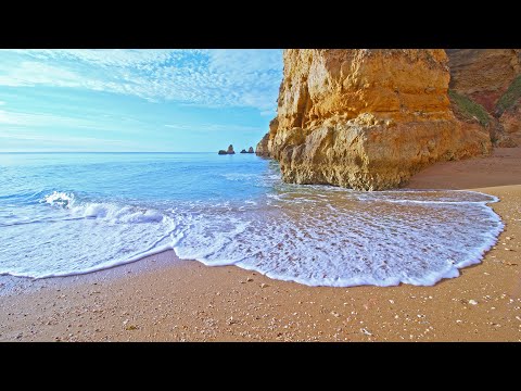 Sweet Morning Waves To Wake Up With Jingle Seashells Sounds And Birds Chirping, Super Relaxing