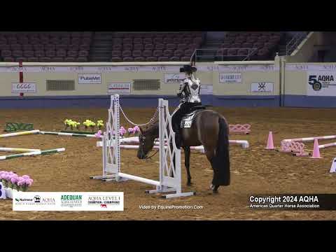 Select Trail - 2024 AQHA World Championship Show