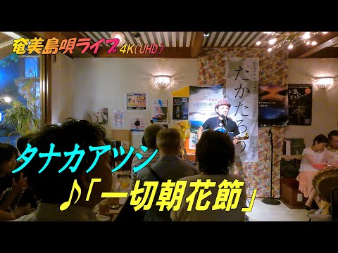 「♪一切朝花節」タナカアツシ・ライブ_in_飯能エビスcafe