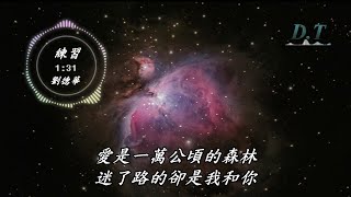 練習--劉德華 動態歌詞 Lyrics『我已開始練習 開始慢慢著急 著急這世界沒有你』【D.T】推薦聆聽歌曲