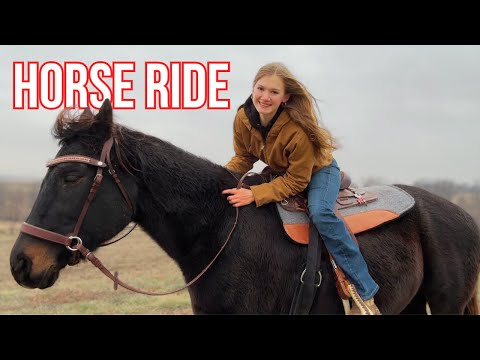 A Magical Holiday Horse Ride | Small Farm Christmas series