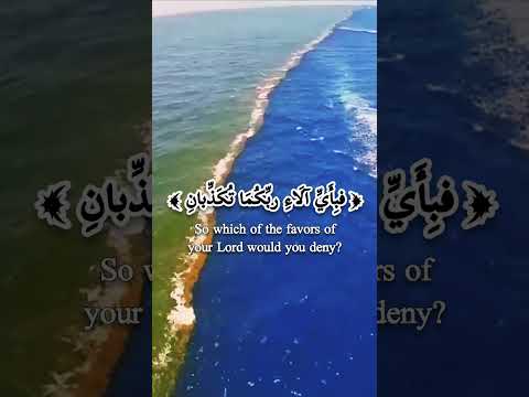 مرج البحرين يلتقيان سورة الرحمن | تلاوة هادئة