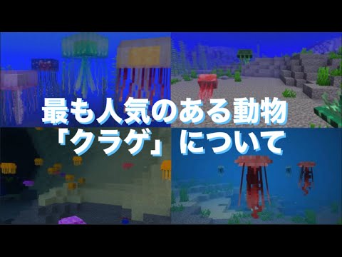 最も人気のある動物「クラゲ」について『マイクラ考察』