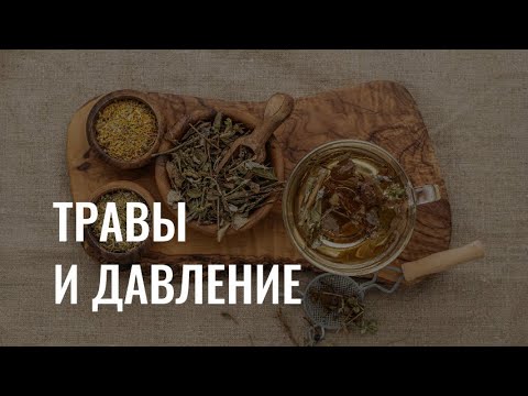 Фитооздоровление: какие травы помогают справиться с давлением?