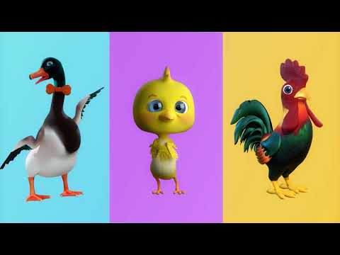 NURSERY RHYMES 🔴 THE FESTIVAL OF THE ANIMALS 🔴 NURSERY RHYMES SONGS 🔴 VIDEOS FOR KIDS