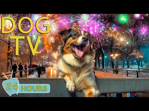 DOG TV: Relaxing Music Dogs Ease Anxiety Caused by Fireworks & Loud Sounds - Music for Dogs