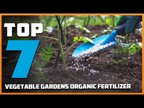 7 Best Organic Fertilizers for Vegetable Garden Growth