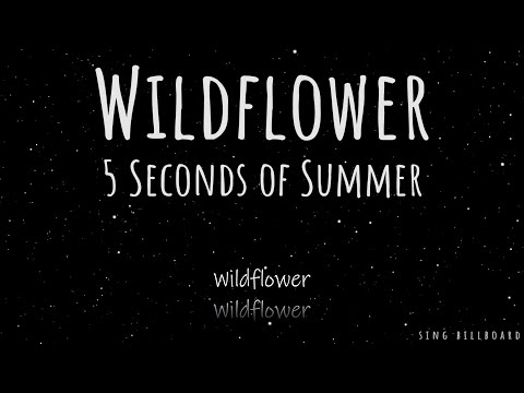 5 Seconds of Summer - Wildflower (Realtime Lyrics)