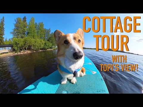 VLOGGING DOG: COTTAGE TOUR - Topi the Corgi