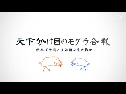 天下分け目のモグラ合戦　然れば土竜とは如何な生き物か|ガリレオX第213回