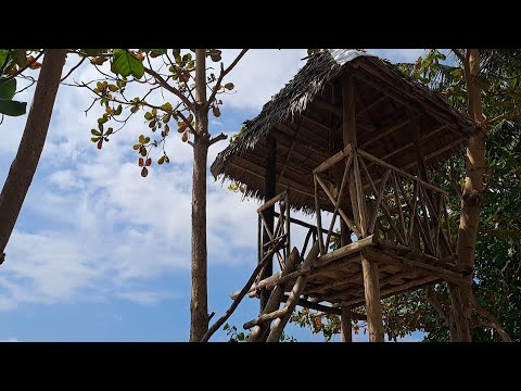 Sea, Sand and Sky 102 (Basyaw Recreational Park) #Palawan #islandlife #Beach #river #foods