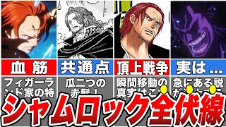 【ワンピース】天才尾田先生が10年以上隠す！完成度の高いもう1人のシャンクスの全伏線！【ゆっくり解説】