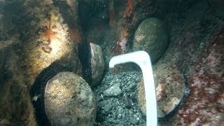 HD Spearfishing and Abalone Diving Mendocino California