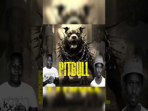 Pitbull Mp3  (Hitler SA x King Marley)