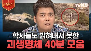 [#티전드] 쥐+도마뱀+인간의 특징이 합쳐진 괴생명체!😨 지구 곳곳에서 발견된 정체를 알 수 없는 생명체 모음🌌 | #프리한19