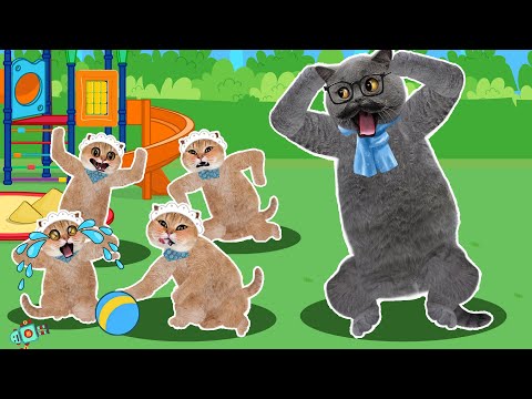 OMG!! Naughty Baby Cat! What should I do ?? Sad Story Cat Life Animation