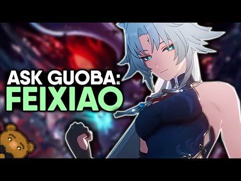 Team Pull Value? E1 or S1? Best Team Builds? | Ask Guoba: Feixiao