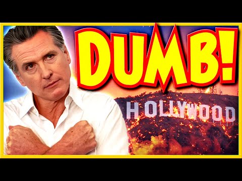 GAVIN NEWSOM IS DUMB! Blames Everyone but Himself for L.A. Wildfires... T.D.S. GONE WILD!