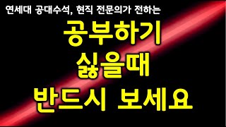 공부하기싫을때 반드시 보세요. 공부 동기부여, 공부자극 쓴소리가 성공과 행복으로 이어지는 메커니즘