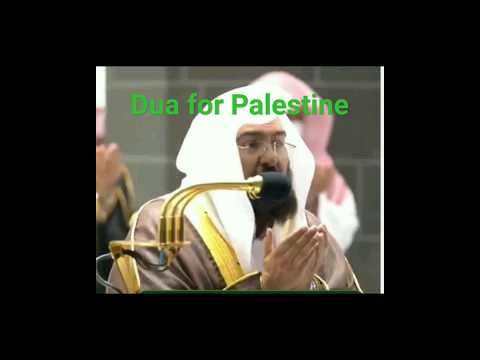 emotional dua for Palestine #shortsfeed #trending #islamic #plastine #masjidalaqsa #sheikhsudais