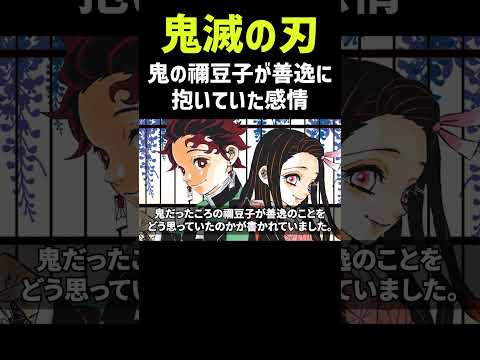 【鬼滅の刃】鬼の禰豆子が善逸に抱いていた感情