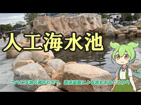 ずんだもんと行く、ずんスポット「海水池」