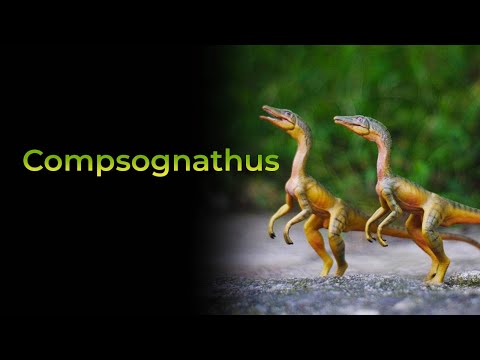 Compsognathus Figure aka Compy