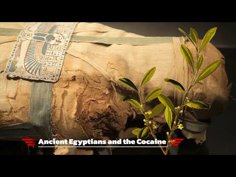 Ancient Egyptians and the Cocaine Mummy Mystery @lahirusankalpa