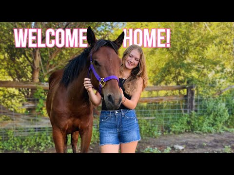 First Week With My NEW HORSE + Name Reveal