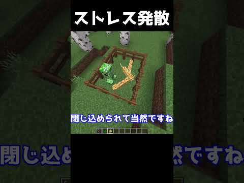 【マイクラ】1回はやるマイクラのストレス発散方法！ #マインクラフト #マイクラ #ゆっくり #minecraft #ゆっくり解説