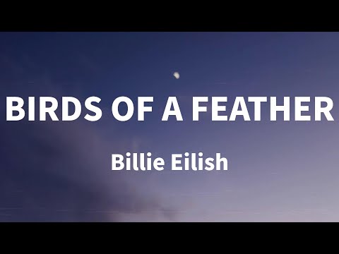 Billie Eilish - BIRDS OF A FEATHER (Lyrics)