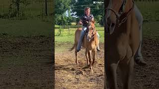 Cash 😻😻 #aqha #barrelhorse #barrelracer #quarterhorses #horse #arabian #reddun