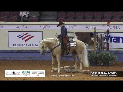 Select Ranch Trail - 2024 AQHA World Championship Show