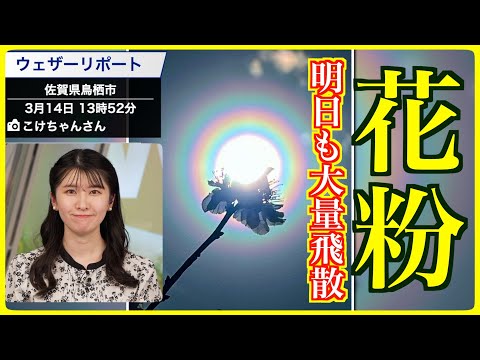 【花粉症】明日も花粉が大量飛散 東京など極めて多い予想