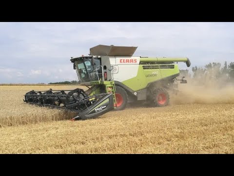 Žně 2024 | New Holland, Claas, John Deere