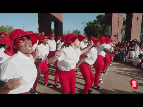 Xi Eta Chapter of Delta Sigma Theta Sorority, Inc. Full Probate Video