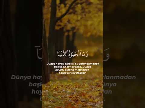 (وَفِي الْآخِرَةِ عَذَابٌ شَدِيدٌ وَمَغْفِرَةٌ) - رعد الكردي