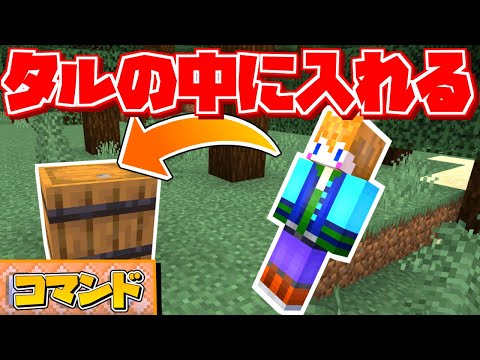 【スイッチ対応】かくれんぼに使える！簡単な樽に入れるコマンド！【マイクラコマンド】